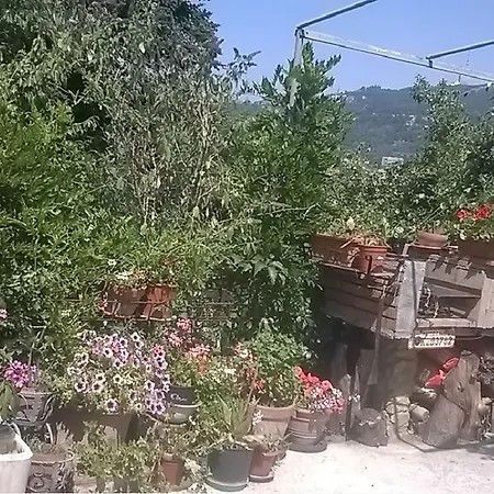 Bed & Breakfast La Rampla Trieste